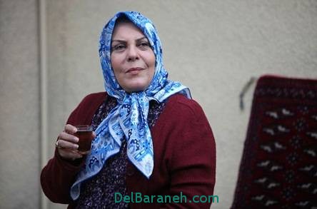 خلاصه داستان و قسمت آخر سریال ماه و پلنگ+عکس بازیگران