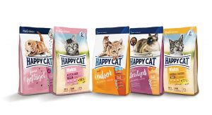 cat food