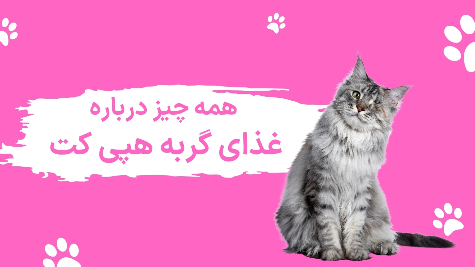 همه چیز درباره غذای گربه هپی کت