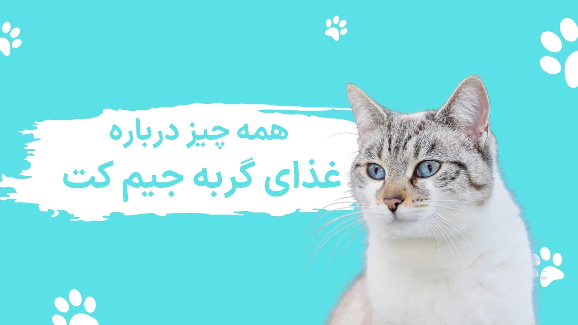 همه چیز درباره برند غذای گربه جیم کت