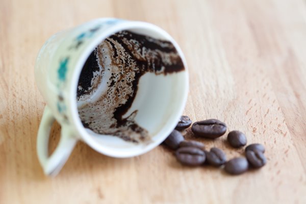 گرگ در فال قهوه