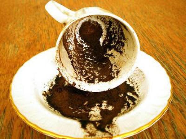 سگ در فال قهوه