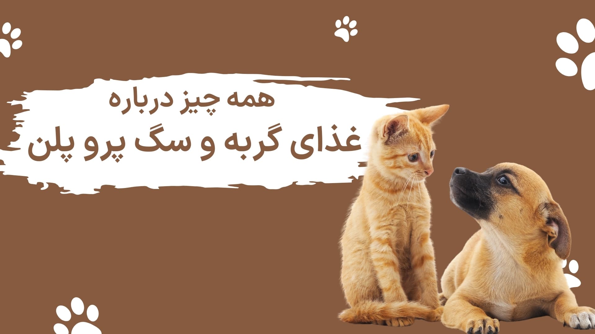 همه چیز درباره برند غذای گربه و سگ پرو پلن