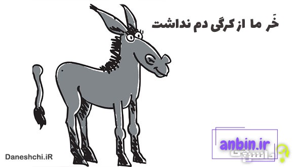 معنی خر ما از کرگی دم نداشت