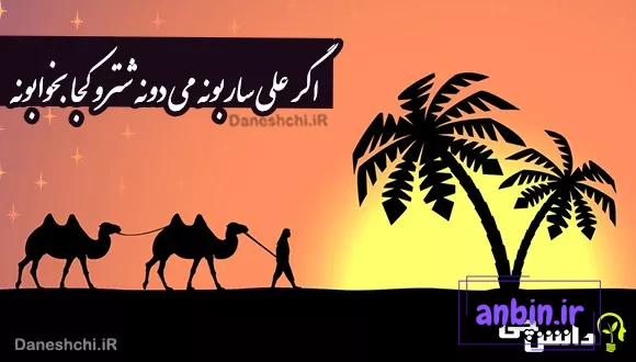 اگر علی ساربونه می دونه شترو کجا بخوابونه