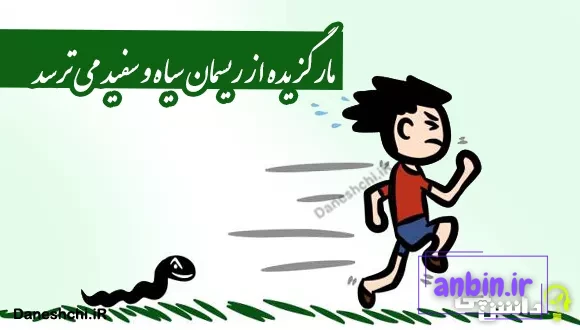 معانی ضرب المثل مار گزیده از ریسمان سیاه و سفید می&zwnj;ترسد