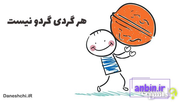 معنی هر گردی گردو نیست