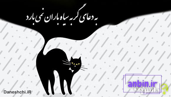 به دعای گربه سیاه باران نمی&zwnj;آید 