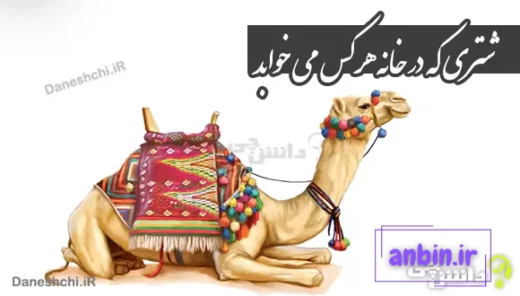 شتری که در خانه هرکس می خوابد