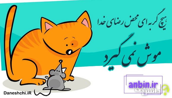 هیچ گربه ای محض رضای خدا موش نمی‌ گیرد