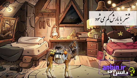 معنی شتر با بارش گم می شود