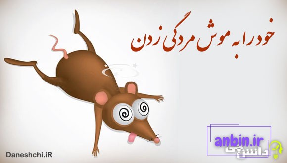 خود را به موش مردگی زدن 