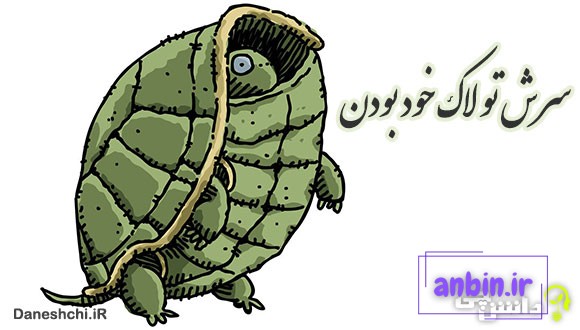 سرش تو لاک خود بودن