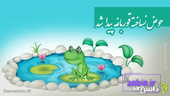 حوض نساخته قورباغه پیدا شد 