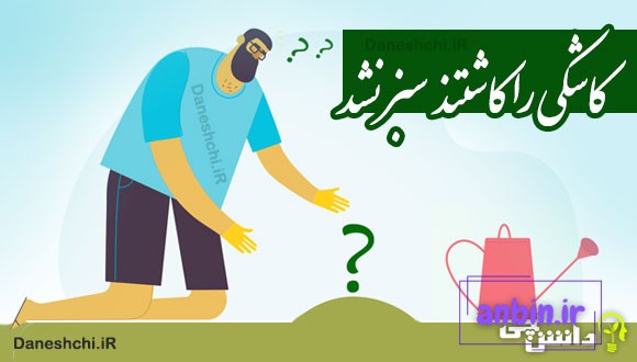 کاشکی را کاشتند سبز نشد 