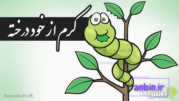 کرم از خود درخته 