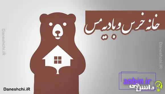 خانه خرس و بادیه مس 