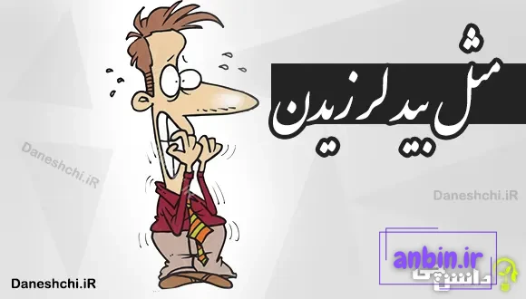 مثل بید لرزیدن 