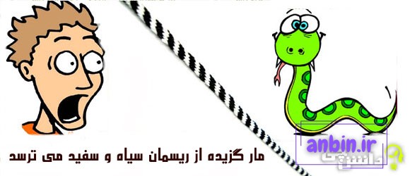 مار گزیده از ریسمان سیاه و سفید می ترسد