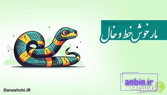 مار خوش خط و خال 