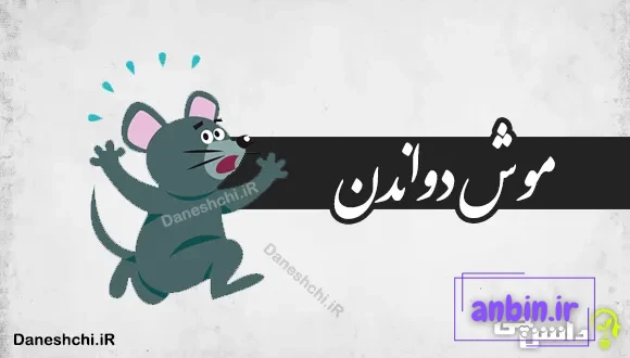 موش دواندن 