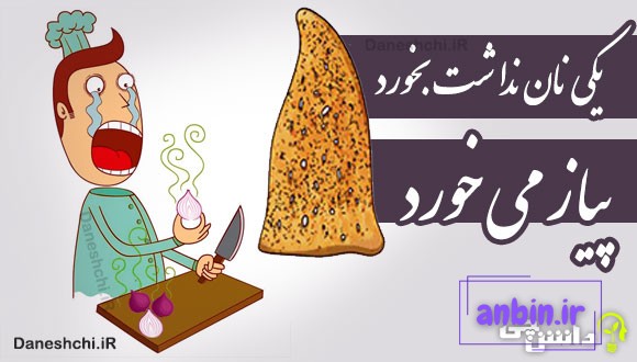 یکی نان نداشت بخورد پیاز می خورد