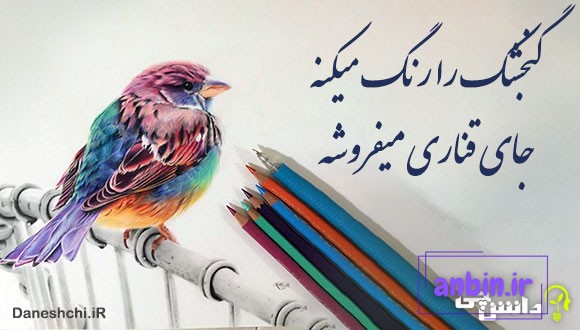 گنجشک را رنگ میکنه جای قناری میفروشه