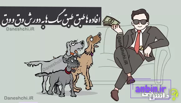 ضرب المثل افاده ها طبق طبق سگ ها به دورش وق و وق
