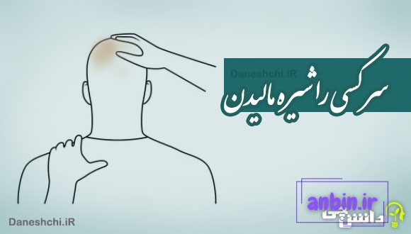 سر کسی را شیره مالیدن