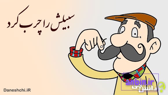 سبیلش را چرب کرد 