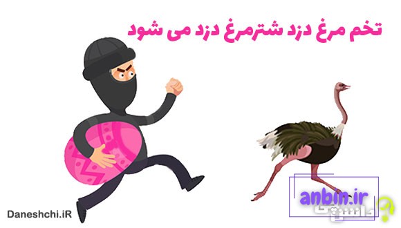 معنی تخم مرغ دزد شترمرغ دزد می شود
