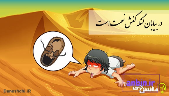 معنی در بیابان لنگه کفش نعمت است