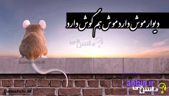 دیوار موش دارد موش هم گوش دارد