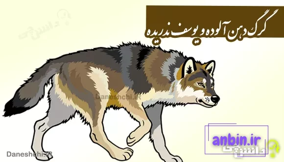 گرگ دهن آلوده و یوسف ندریده