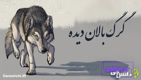 گرگ بالان دیده 