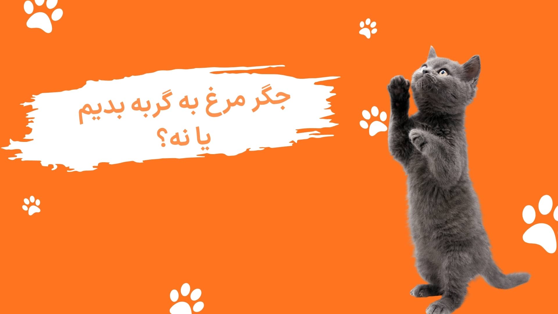 جگر مرغ برای گربه؛ بدیم یا ندیم؟