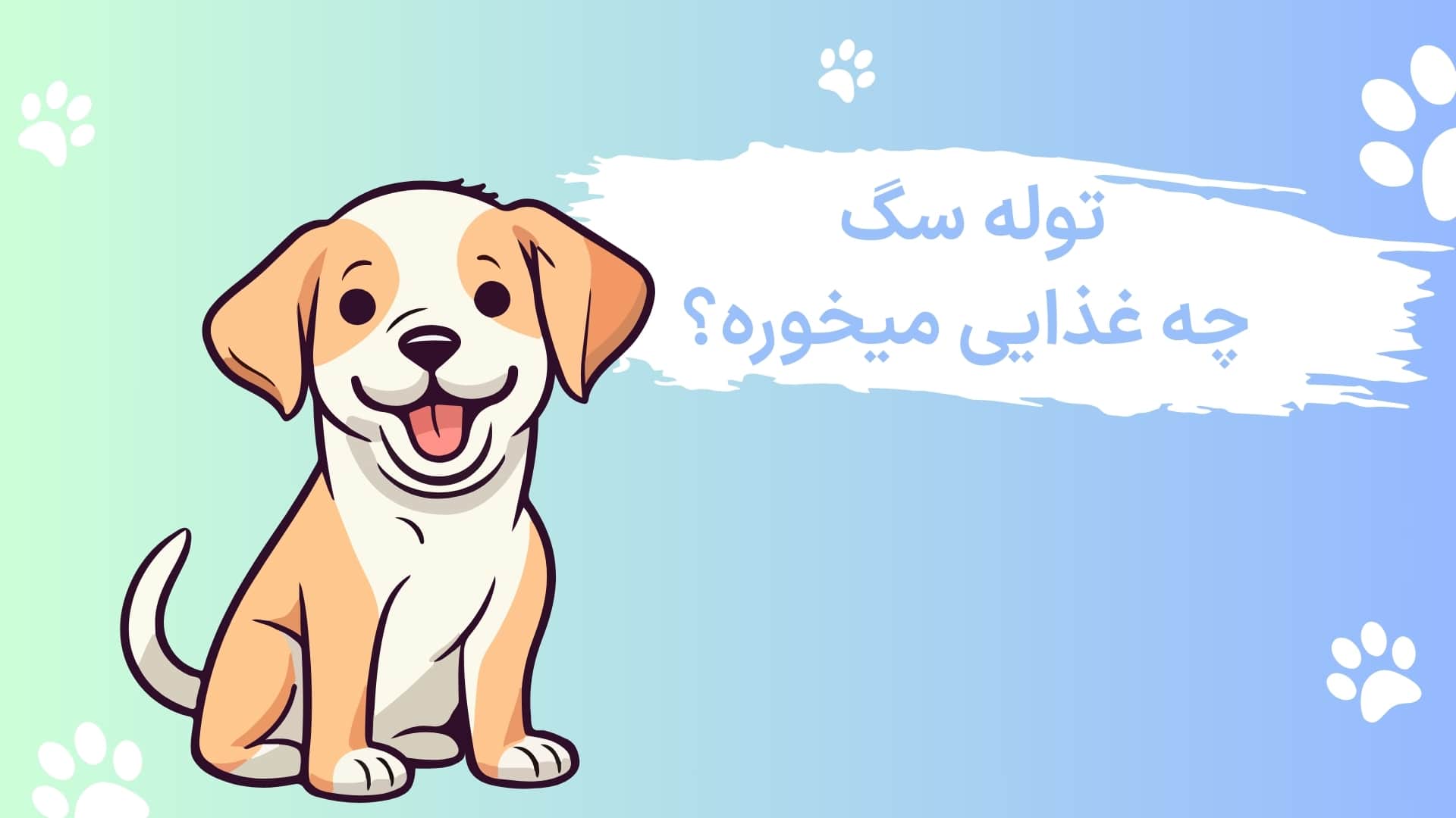 غذای توله سگ؛ توله سگ چه غذاهایی میخورد؟