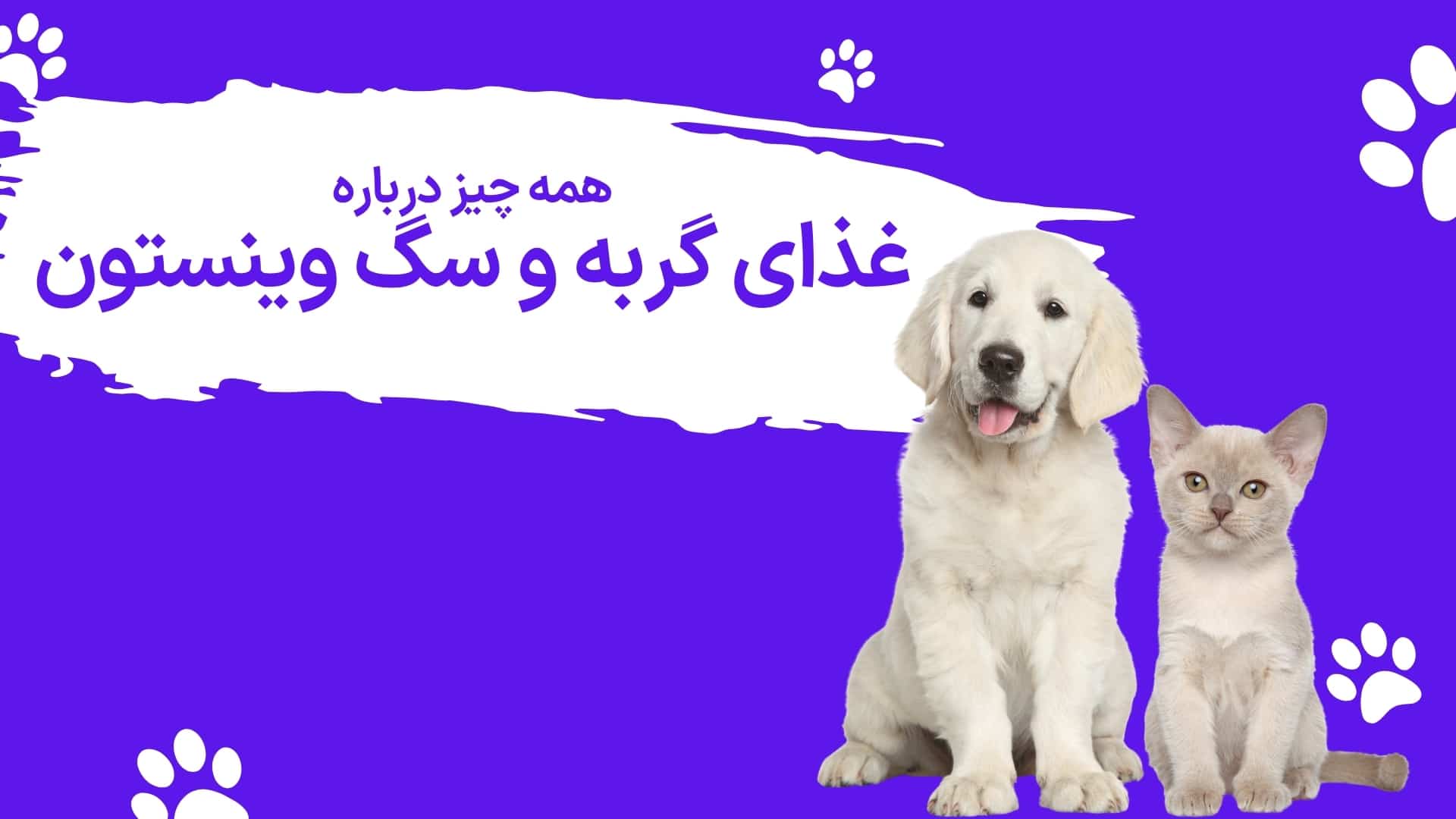 همه چیز درباره برند غذای گربه و سگ وینستون