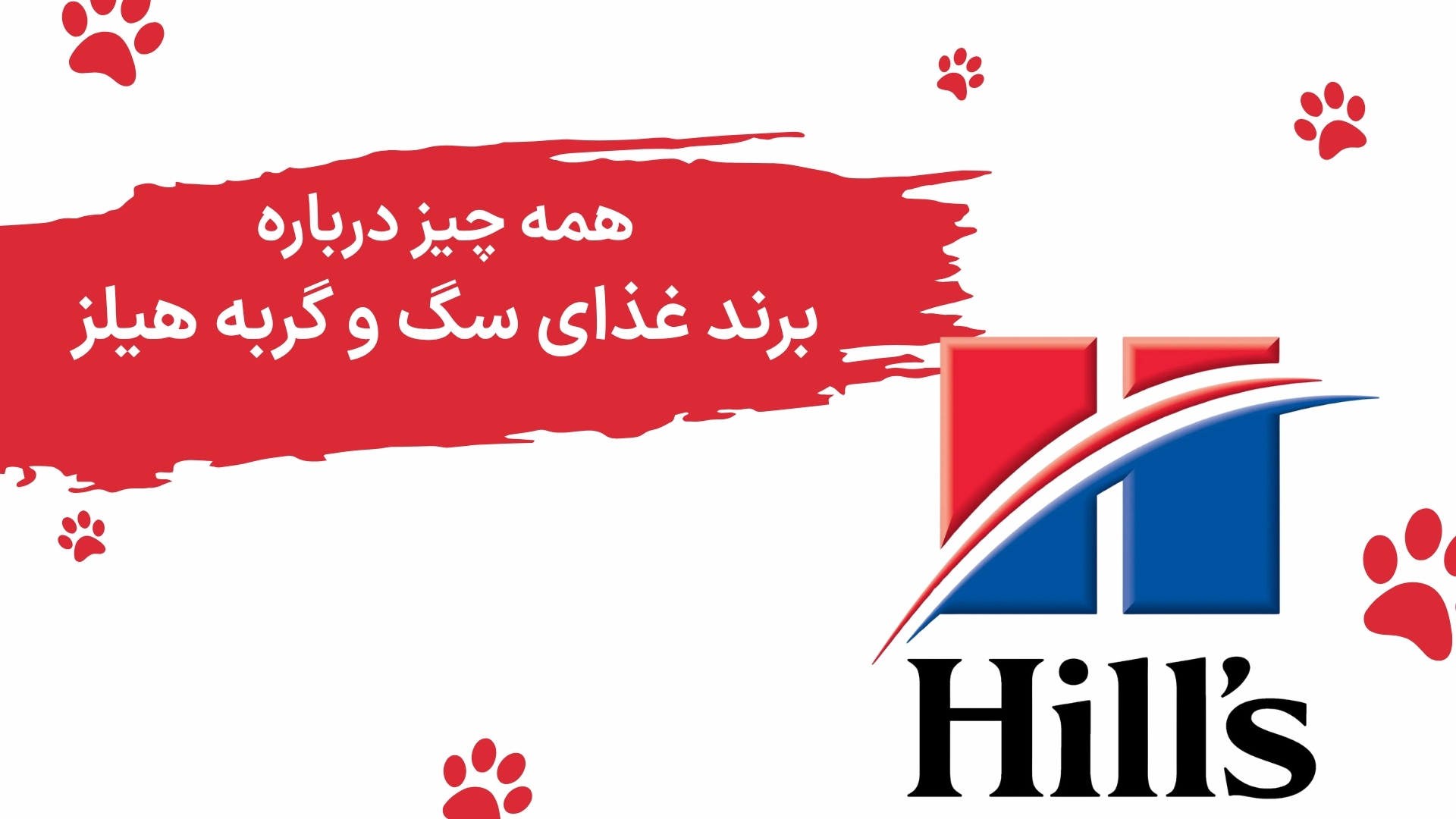 همه چیز درباره برند غذای سگ و گربه هیلز Hill’s