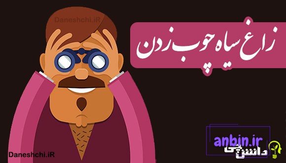 زاغ سیاه چوب زدن 