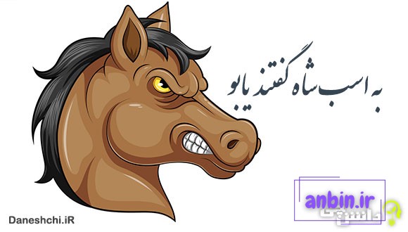 معنی به اسب شاه گفتند یابو
