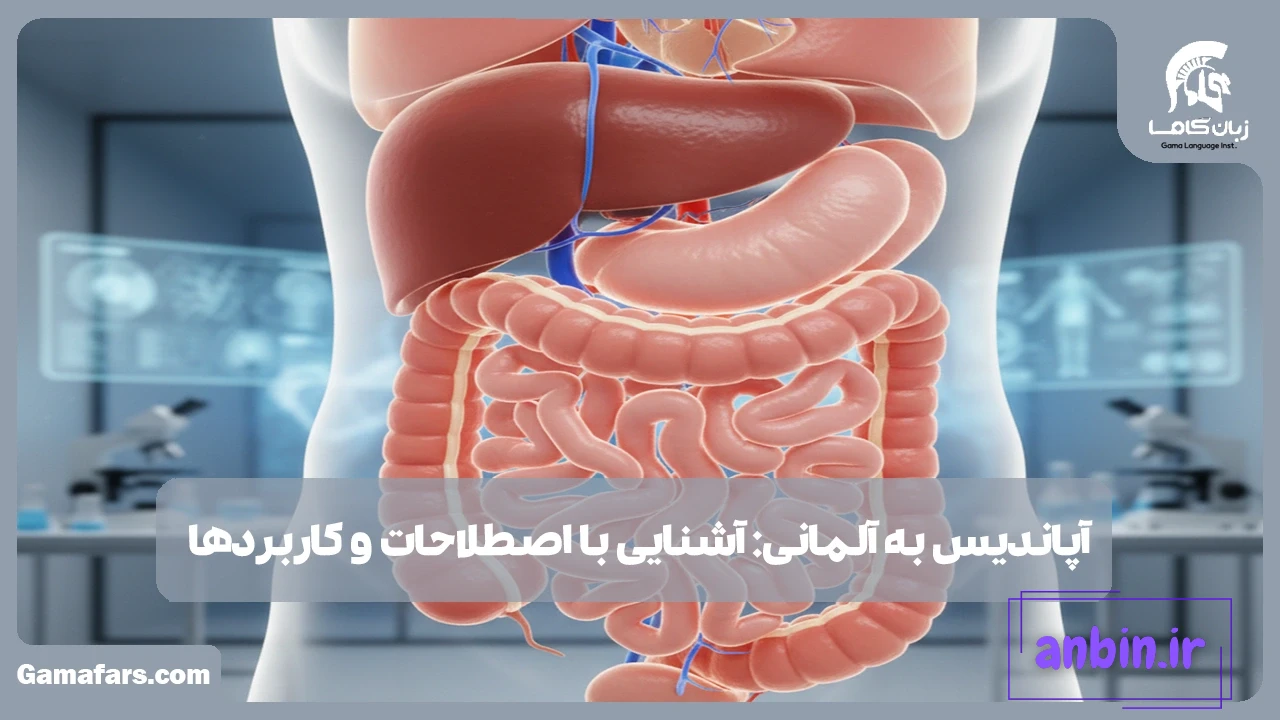 آپاندیس به آلمانی