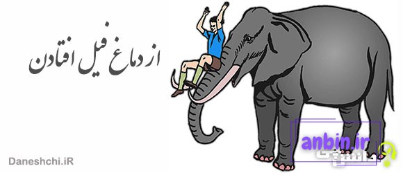 ضرب المثل از دماغ فیل افتادن