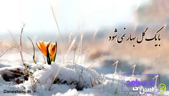 با یک گل بهار نمی شود 