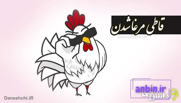 قاطی مرغا شدن