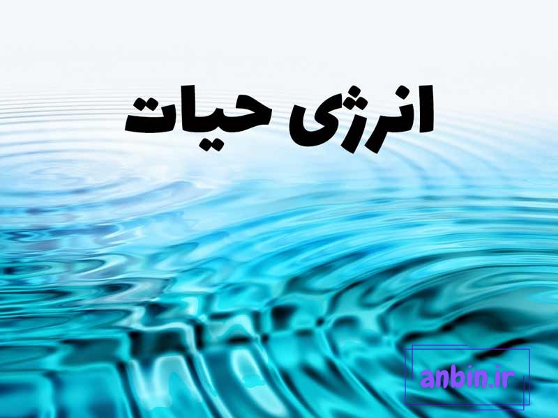 انرژی حیات در فنگ شویی