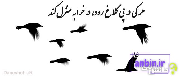 معنی ضرب المثل هر کی در پی کلاغ رود در خرابه منزل کند
