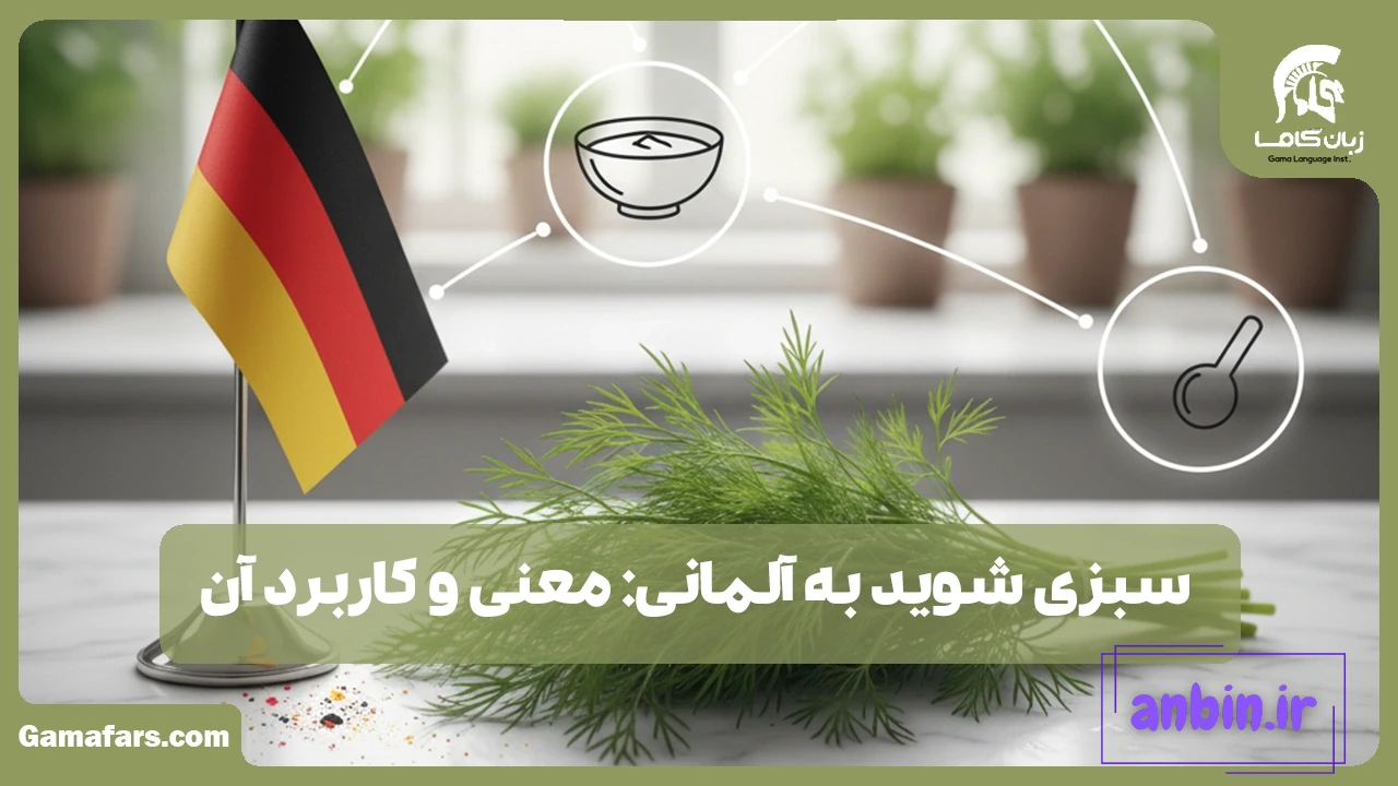 سبزی شوید به آلمانی