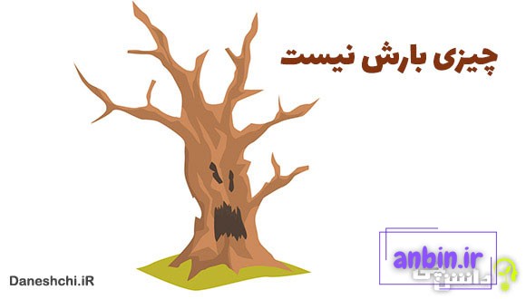 معنی چیزی بارش نیست