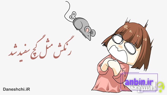 معنی رنگش مثل گچ سفید شد